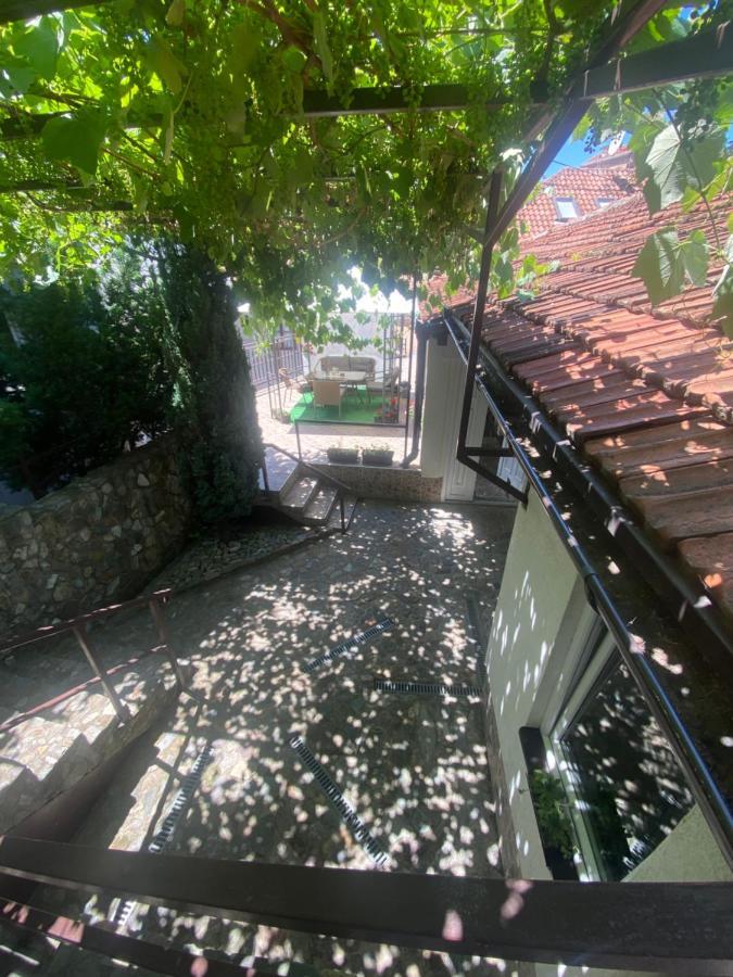 Siesta Saraievo